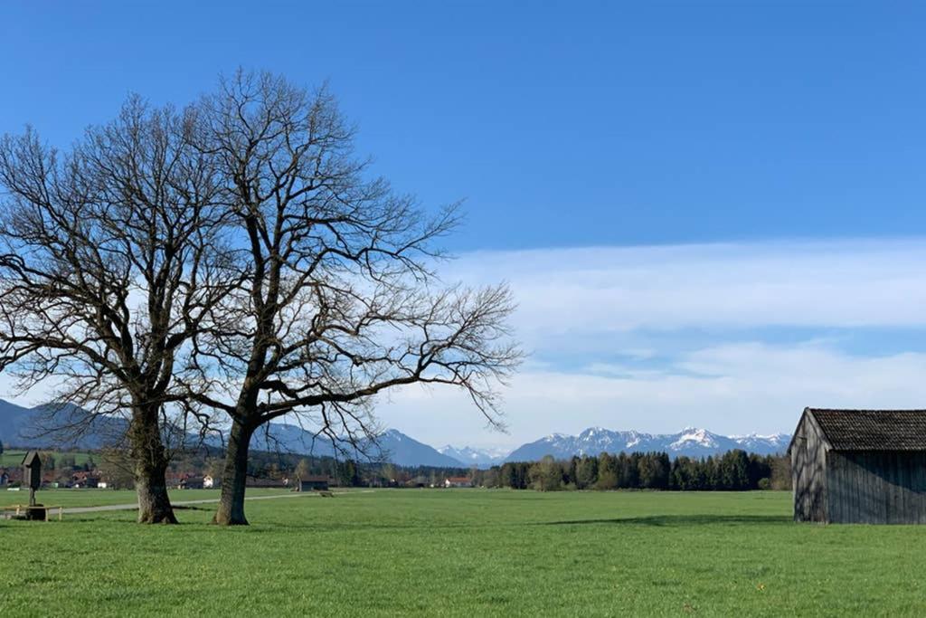 Ferienhaus Koenigsdorf - Urlaub Im Toelzer Land Konigsdorf Экстерьер фото